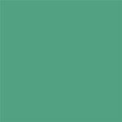 16-5924 TCX Winter Green