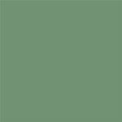 16-6116 TCX Shale Green