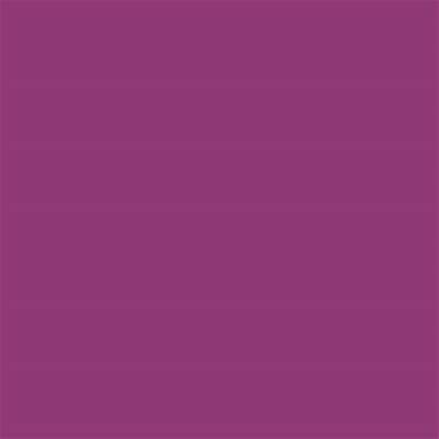 18-2929 TCX Purple Wine