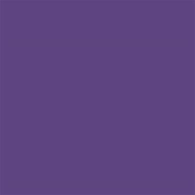 19-3642 TCX Royal Purple