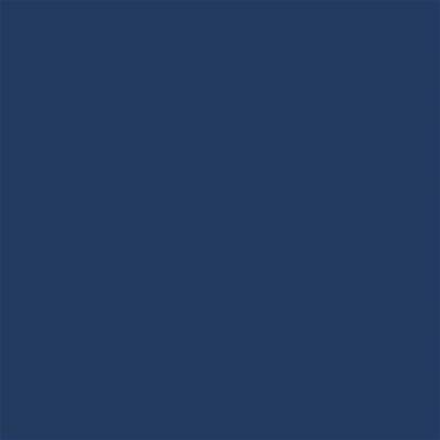 19-4029 TCX Navy Peony