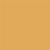 14-1041 TCX Golden Apricot