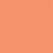 15-1340 TCX Cadmium Orange