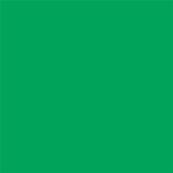 15-5534 TCX Bright Green