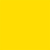 13-0858 TCX Vibrant Yellow