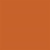 16-1448 TCX Burnt Orange