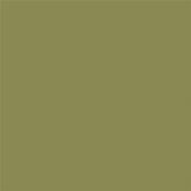 17-0535 TCX Green Olive