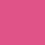 17-2033 TCX Fandango Pink