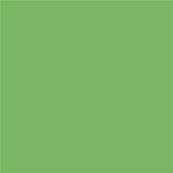 15-6437 TCX Grass Green