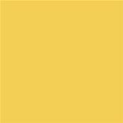 13-0755 TCX Primrose Yellow