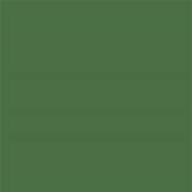 18-0125 TCX Artichoke Green