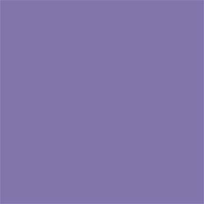17-3826 TCX Aster Purple