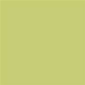 13-0532 TCX Celery Green