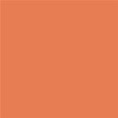 16-1344 TCX Dusty Orange