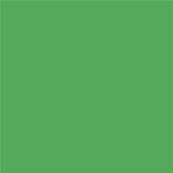 16-6339 TCX Vibrant Green