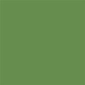 17-0230 TCX Forest Green