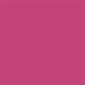 17-2031 TCX Fuchsia Rose