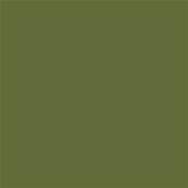 18-0328 TCX Cedar Green