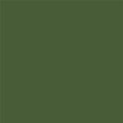 19-0230 TCX Garden Green