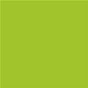 14-0452 TCX Lime Green