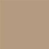 14-1012 TCX Gilded Beige