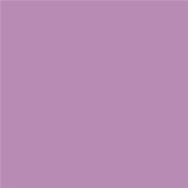 16-3110 TCX Smoky Grape