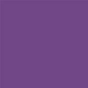18-3540 TCX Purple Sapphire
