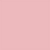 14-1511 TCX Powder Pink