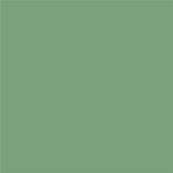 16-6318 TCX Mineral Green