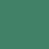 17-5923 TCX Pine Green