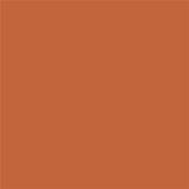 17-1353 TCX Apricot Orange