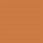 16-1346 TCX Golden Ochre