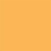 13-0942 TCX Amber Yellow