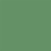 17-0123 TCX Stone Green