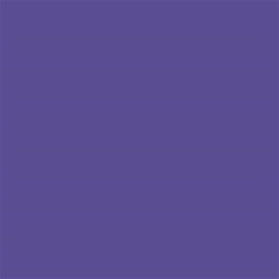 18-3839 TCX Purple Corallites
