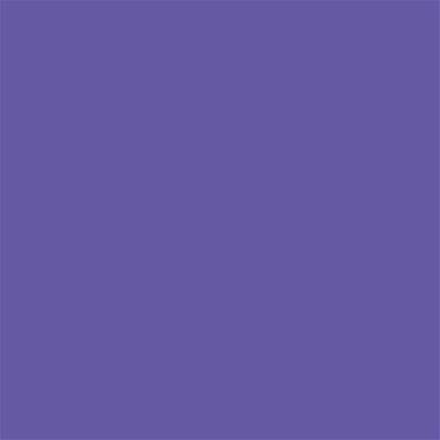 18-3840 TCX Purple Opulence