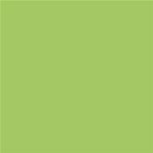 14-0244 TCX Bright Lime Green