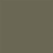 18-0521 TCX Burnt Olive