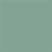 16-5907 TCX Granite Green