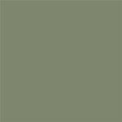 17-0115 TCX Oil Green